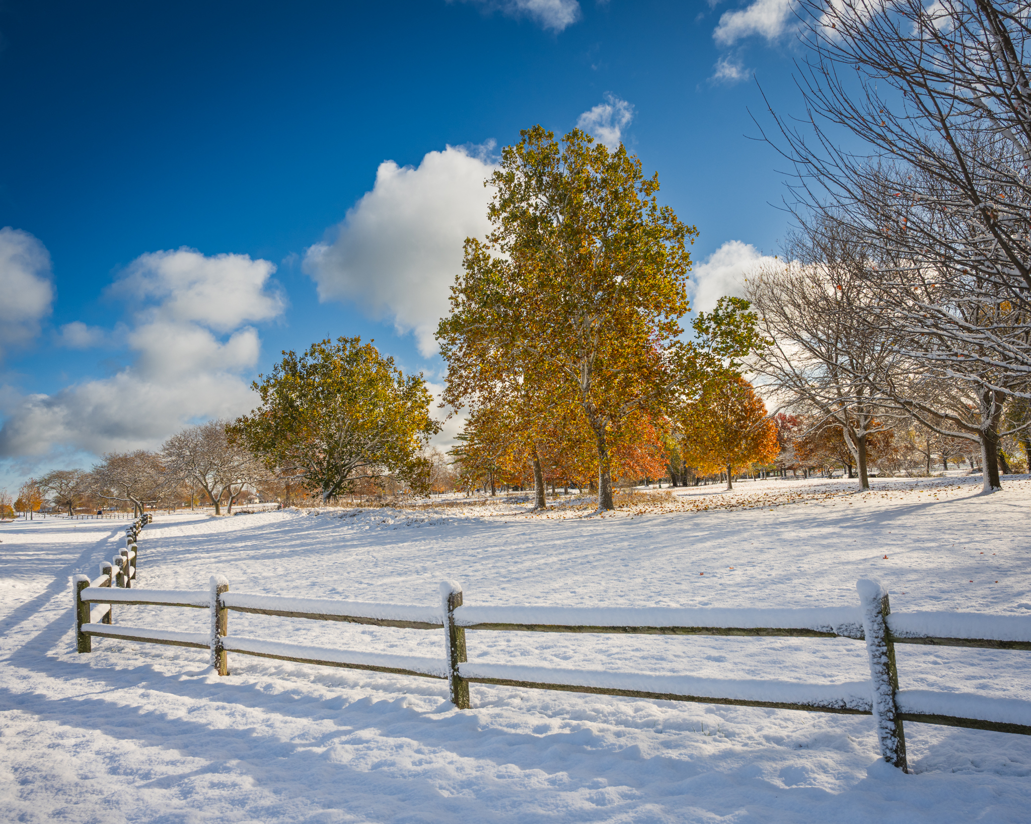 Meeting Photo Slide Show